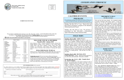 Newsletter - Bay County Audubon Society