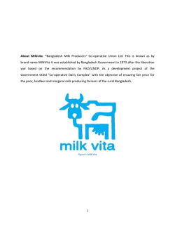 Intern report on Milkvita - Project and Business Analysis