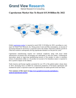 Caprolactam Market Forecast Report to 2022