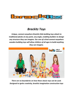 Brackitz Educational Construction Toys