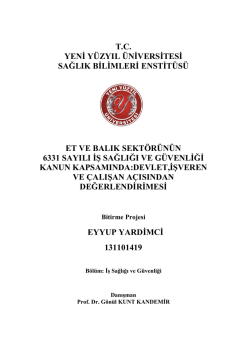 bitirme ödevi - İstanbul Yeni Yüzyıl Üniversitesi