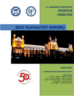 2013 Yılı Faaliyet Raporu