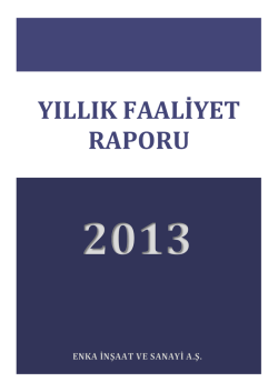 2013 yıllık raporu