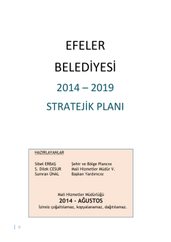 2014-2019 Stratejik Plan