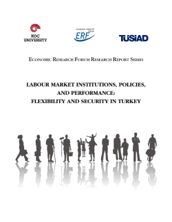 Labour Market Institutions, Policies, and Performance
