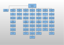 Hemşirelik Hizmetleri Organizasyon Şeması