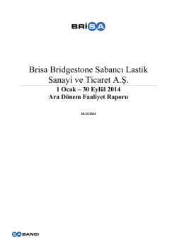 Brisa Bridgestone Sabancı Lastik Sanayi ve Ticaret A.Ş.