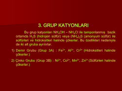 3. Grup Katyonları