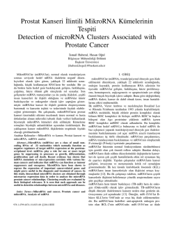 Prostat Kanseri˙Ilintili MikroRNA Kümelerinin Tespiti Detection of