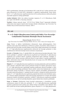 Bağlı Glikozilasyonun Embriyonik Balb/c Fare