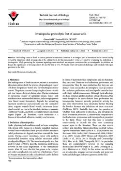 Invadopodia - Scientific Journals