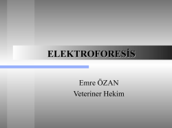 elektroforesis