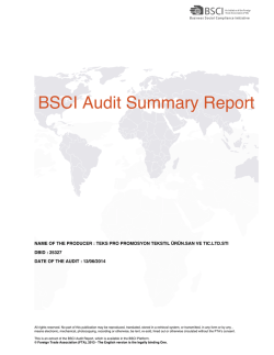 BSCI Audit Summary Report - Teks