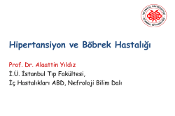 Prof. Dr. Alaattin YILDIZ - İstanbul Üniversitesi Tıp Fakültesi