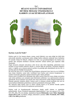 DMYO karbon Ayak izi hesabı - Bülent Ecevit Üniversitesi Fizik Bölümü