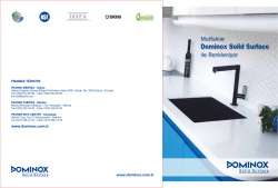 Dominox Solid Surface