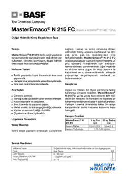 MasterEmaco® N 215 FC (Eski Adı ALBARIA