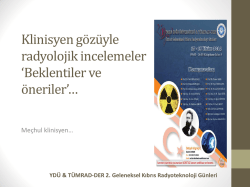 Dr. Mehmet Ergin - Yakın Doğu Üniversitesi