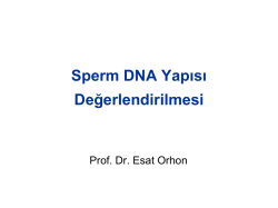Sperm DNA Yapısı Değerlendirilmesi