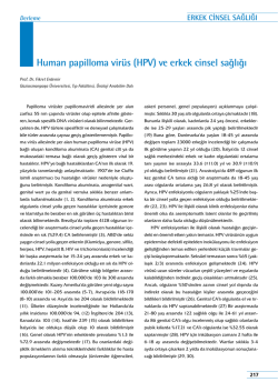 Human papilloma virüs (Hpv) ve erkek cinsel sağlığı