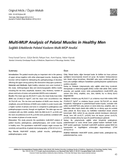 Multi-MUP Analysis of Palatal Muscles in Healthy Men