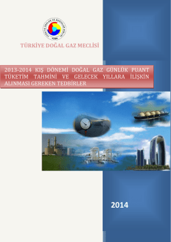 pdf türkçe 665kb