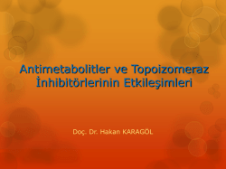 Antimetabolitler ve Topoizomeraz İnhibitorlerinin Etkileşimleri