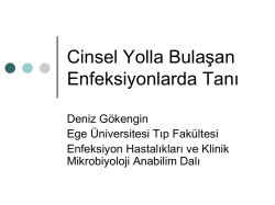 Prof. Dr. Deniz Gökengin