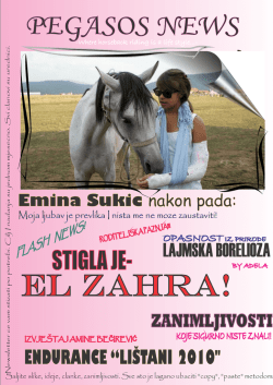 Emina Sukic