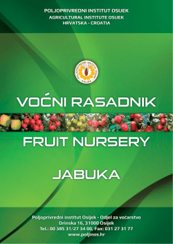 Jabuka - Poljoprivredni institut Osijek