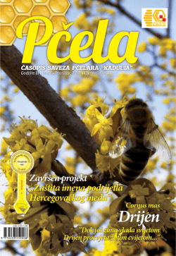 Drijen - Savez pčelarskih organizacija Srbije
