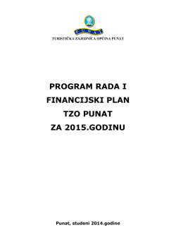 program rada i financijski plan tzo punat za 2015.godinu