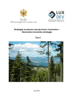 Strategija sa planom razvoja šuma i šumarstva