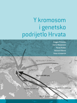 Y kromosom i genetsko podrijetlo Hrvata