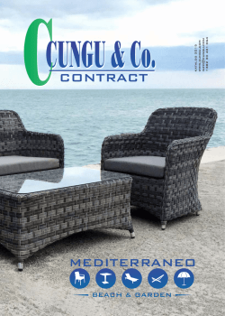 CONTRACT - Cungu & Co