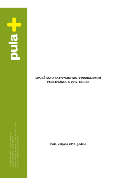 Izvještaj o aktivnostima i financijskom poslovanju u 2012