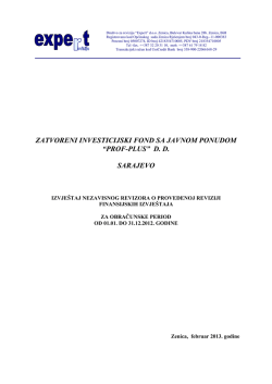 Revizorski izvještaj PROF-PLUS 2012 - PROF-IN