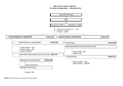 Organizacijska shema.pdf