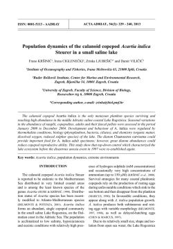 Population dynamics of the calanoid copepod Acartia italica