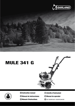 MULE 341 G