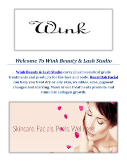 Wink Beauty & Lash Studio : Royal Oak Facial Beauty Salon