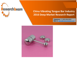 China Vibrating Tongue Bar Industry 2016 Deep Market Research Report