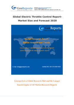 Global Electric Throttle Control Report-Market Size and Forecast 2020