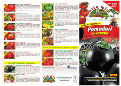 Pomodori - Orto Mio
