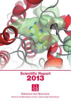 Scientific Report 2013 PDF file (10 Mb)