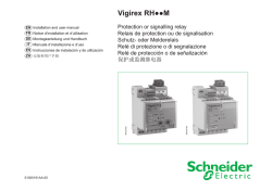 Vigirex RHM - Schneider Electric