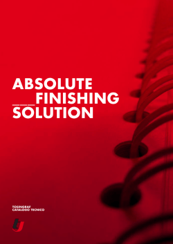 ABSOLUTE ___FINISHING SOLUTION
