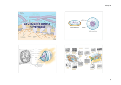 La Cellula e il sistema membranoso