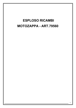 ESPLOSO RICAMBI MOTOZAPPA - ART.79560