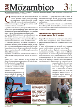 Mozambico - Development Agroindustrial Investment Spa